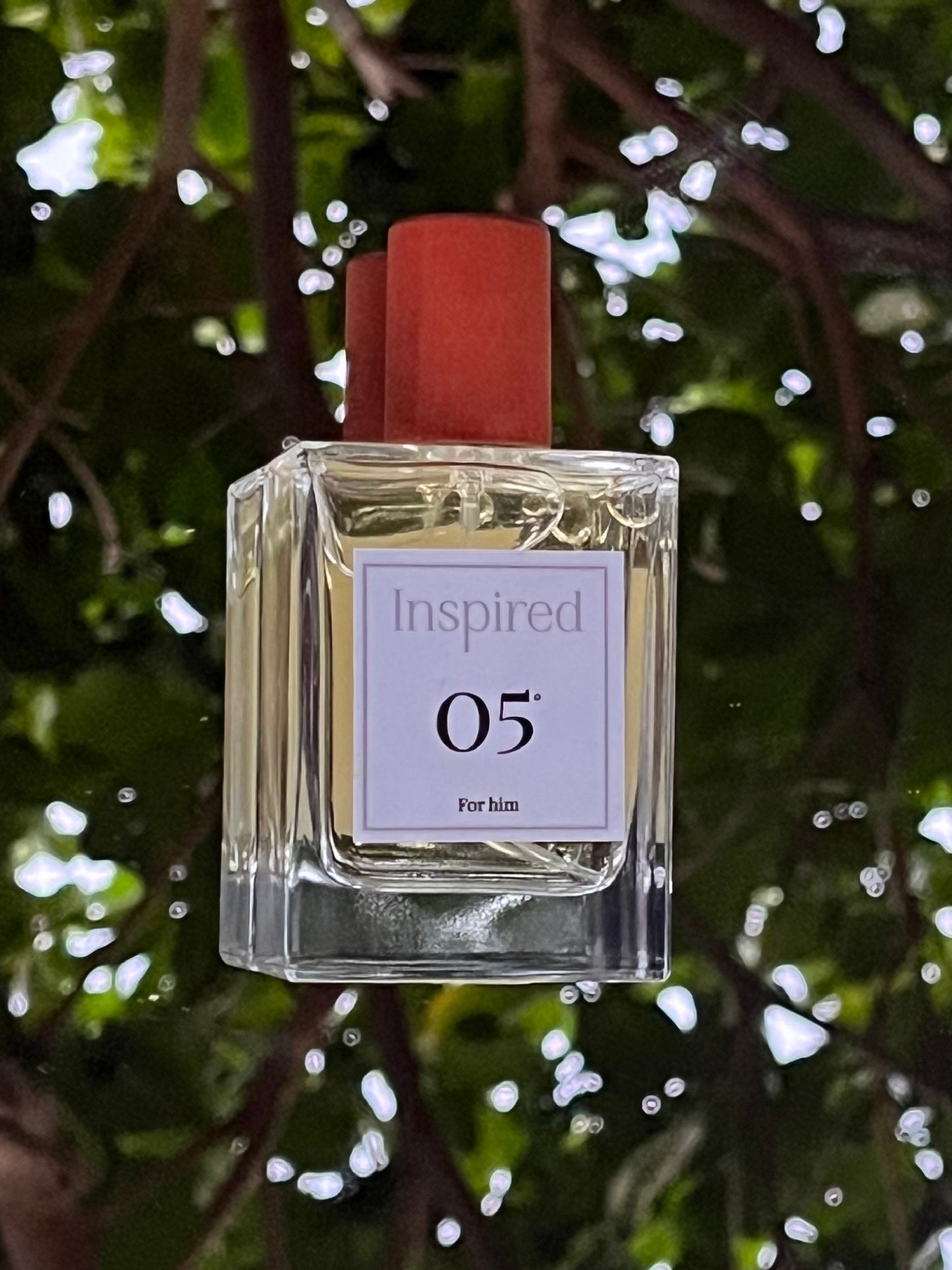 No 05 for Him - Inspired by One Million - Paco Rabanne
