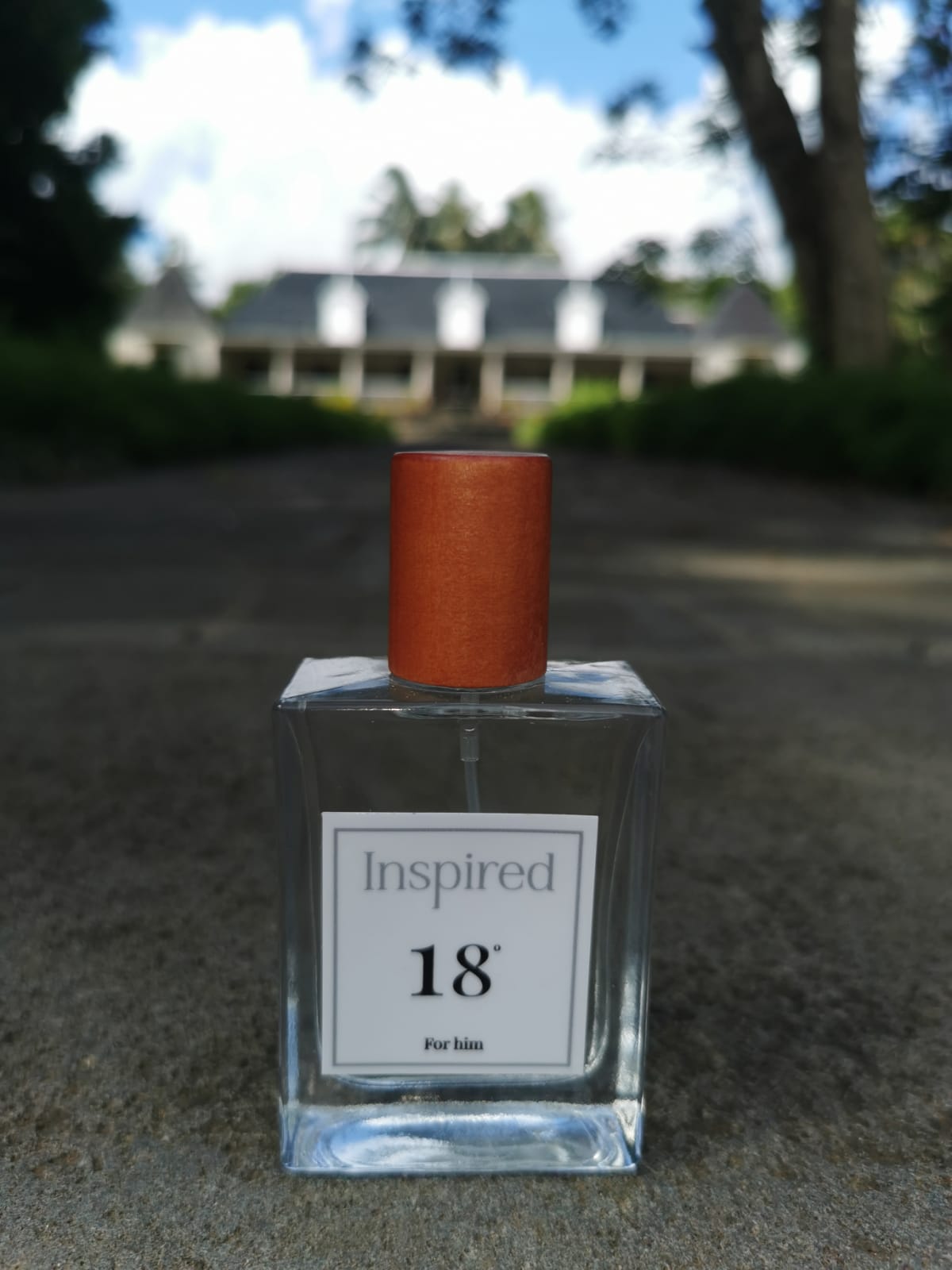No 18 for Him - Inspired by Invictus - Paco Rabanne